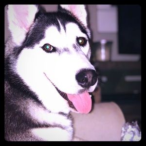 Pet friendly home 🏡❤️